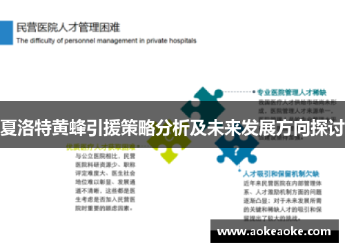 夏洛特黄蜂引援策略分析及未来发展方向探讨