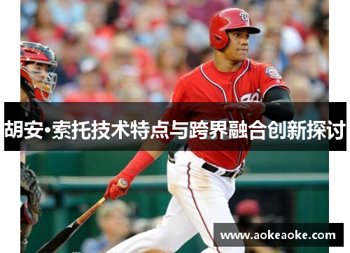 胡安·索托技术特点与跨界融合创新探讨